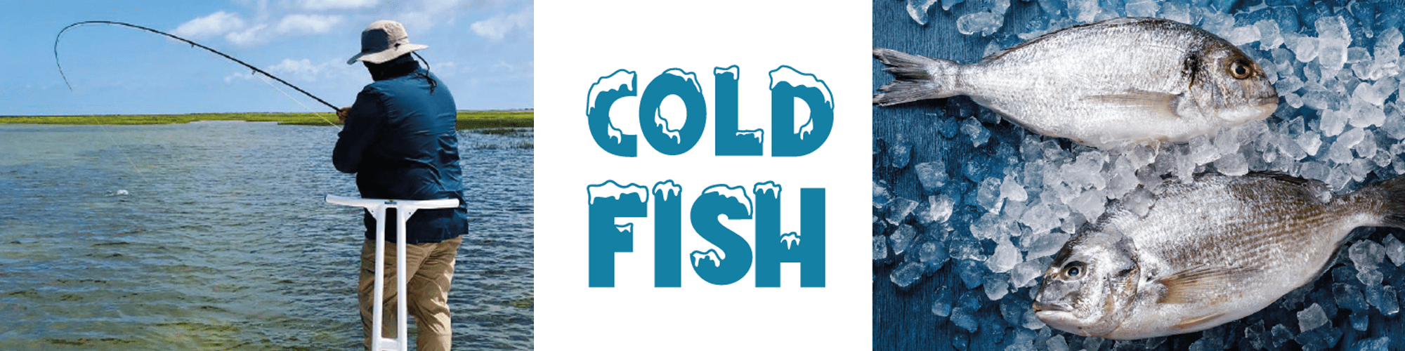 COLD FISH | The Reserve at St. Charles Bay