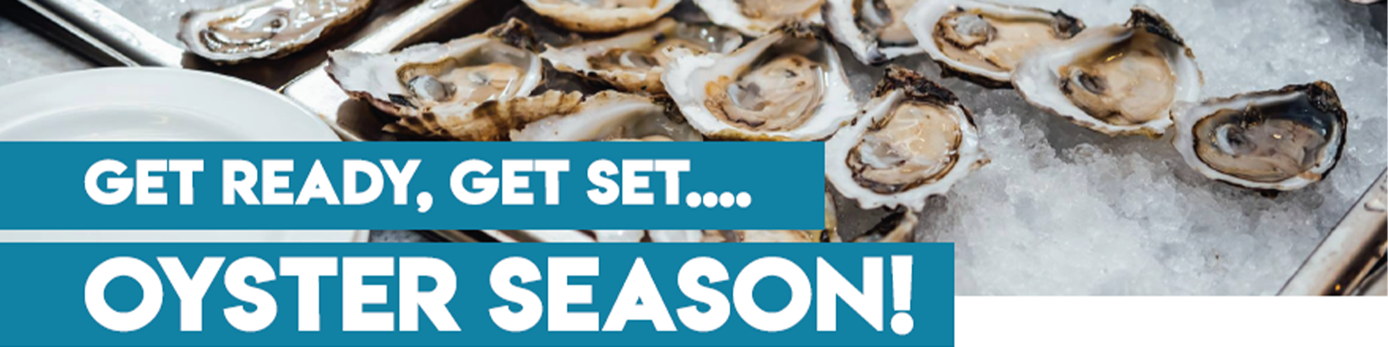 Get Ready, Get Set…Oyster Season!
