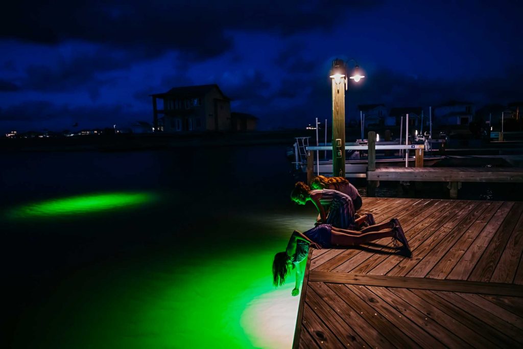 Children peering into green glowing water from a wooden dock at night.