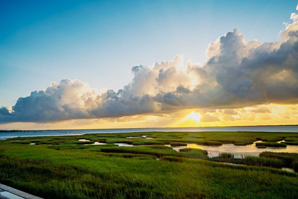 Sunbeams breaking through dramatic clouds over a lush green coastal marsh.